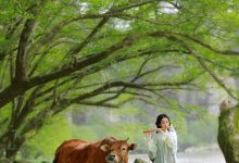 [YITUYU艺图语]2023.02.25 兰芝 锦超[21+1P／277MB]-妹子图