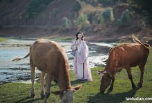 [YITUYU艺图语]2023.04.09 去随青草牧春牛 瑜瑾[24+1P／524MB]-妹子图