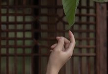 [YITUYU艺图语]2023.04.13 庭有枇杷树 时生[24+1P／339MB]-妹子图