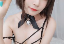 Coser小姐姐白银 - 折耳狗 [107P4V-802MB]-妹子图