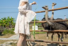 [尤蜜丝]穿搭写真 NO.086[76P／400MB]-妹子图