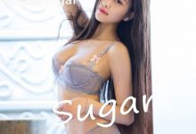 [LeYuan星乐园] 2017.02.15 VOL.028 杨晨晨sugar [51+1P]-妹子图