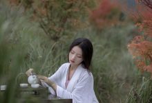 [YITUYU艺图语]2023.04.18 君山不归 -林秋奈[23+1P／331MB]-妹子图