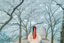 [YITUYU艺图语]2022.02.24 等一场春暖 待一树花开 阿紫[19+1P／235MB]-妹子图