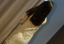 [ROSI写真]2023.06.11 NO.4206[224+1P／282MB]-妹子图