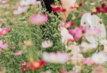 [YITUYU艺图语]2021.09.03 繁花孤影 茶茶[23+1P／280MB]-妹子图