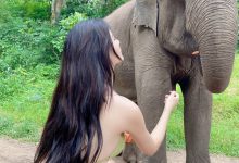 就是阿朱啊 -  人与自然 [16P-205MB]-妹子图