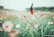 [YITUYU艺图语]2023.04.26 花语 小温暖想要个大太阳 [23+1P／231MB]-妹子图