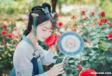 [YITUYU艺图语]2023.05.03 梦境玫瑰 绮罗生的小苏苏[22+1P／78MB]-妹子图