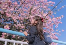 萌芽儿 - NO.26 异木棉花 [27P-436MB]-妹子图