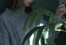 [YITUYU艺图语]2022.05.02 斗鱼 小可爱[21+1P／168MB]-妹子图