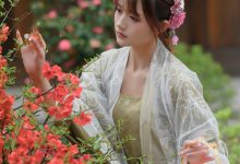 兔子Zzz不吃胡萝卜 - NO.73 宫墙柳 [43P-445MB]-妹子图