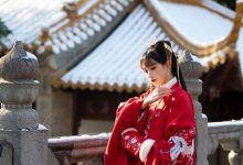 兔子Zzz不吃胡萝卜 - NO.79 深宫雪 [27P-260MB]-妹子图