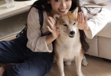 [YITUYU艺图语]2022.11.27 Hi,小狗 叛逆的捡捡唯[28+1P／201MB]-妹子图