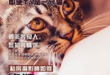 《潘多拉》2016.08.01 第三期-妹子图