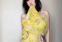 琳铛铛-夺命黄色战袍[15P-37MB]-妹子图