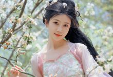 年年nnian –  海棠仙[84P-342.4M]-妹子图