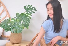 [SSA丝社]短片 NO.0164 君君 浪莎肤色丝袜[1V／525MB]-妹子图