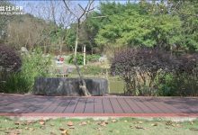 [SSA丝社] 短片 NO.211 文子 国产muziduo[1V-1.01G]-妹子图